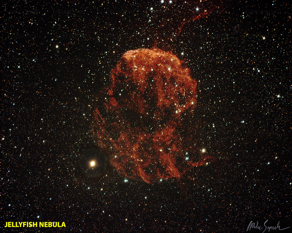 Astrophoto of the Month Jellyfish Nebula