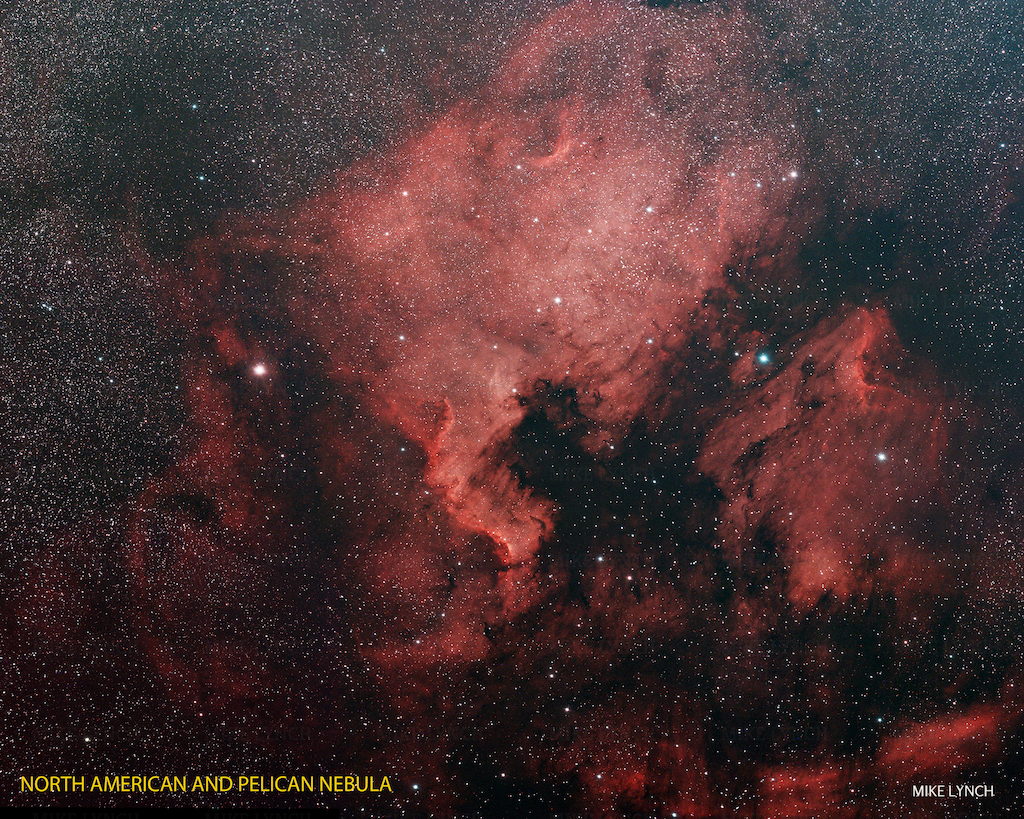 Astrophoto of the Month - North American Nebula